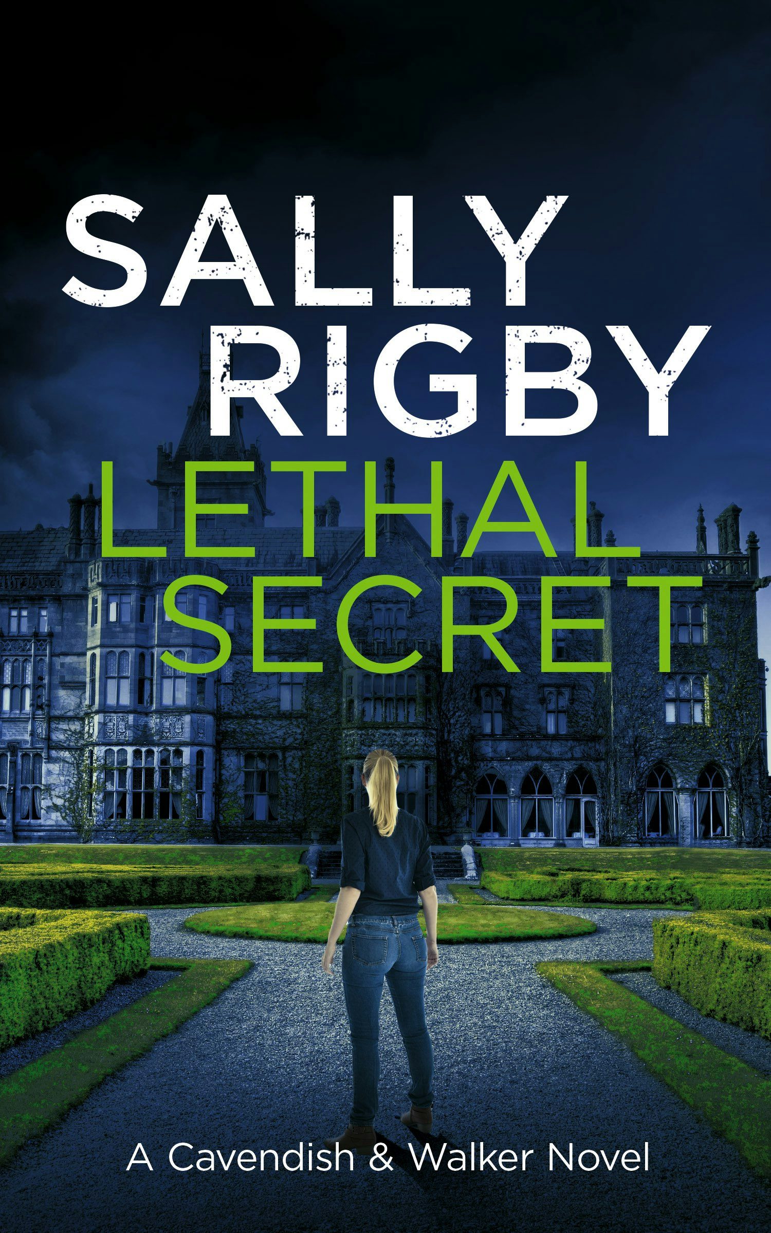 Book cover image for Lethal Secret ISBN: 9781805085737